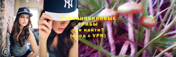 прущие крисы Володарск