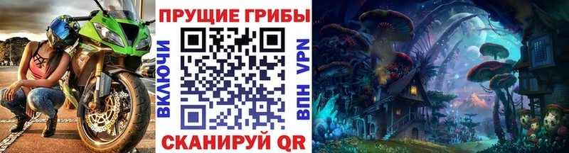 Псилоцибиновые грибы мицелий  цена   blacksprut вход  Вуктыл 